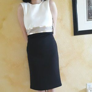 Calvin Klein.  Block Color Dress,